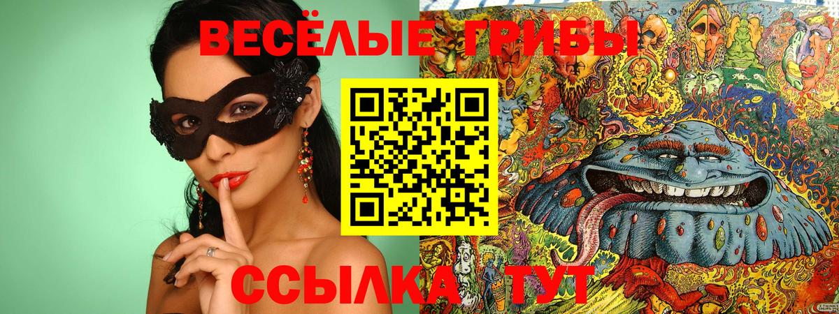 наркошоп  Галлюциногенные грибы мицелий  Вход с VPN  Новочебоксарск  Галлюциногенные грибы прущие грибы 