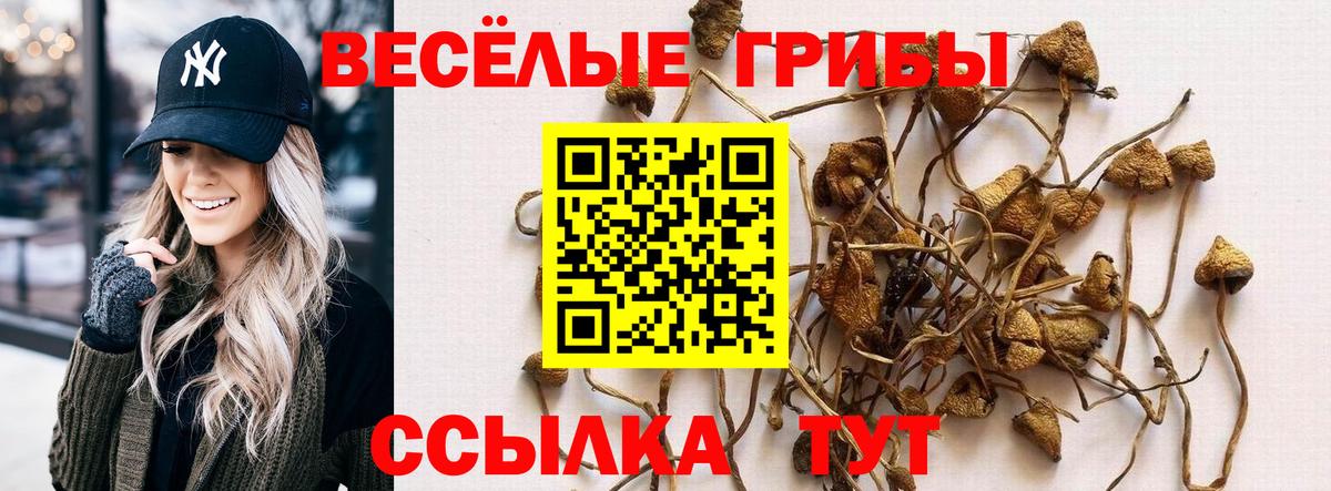Псилоцибиновые грибы Psilocybine cubensis Новочебоксарск